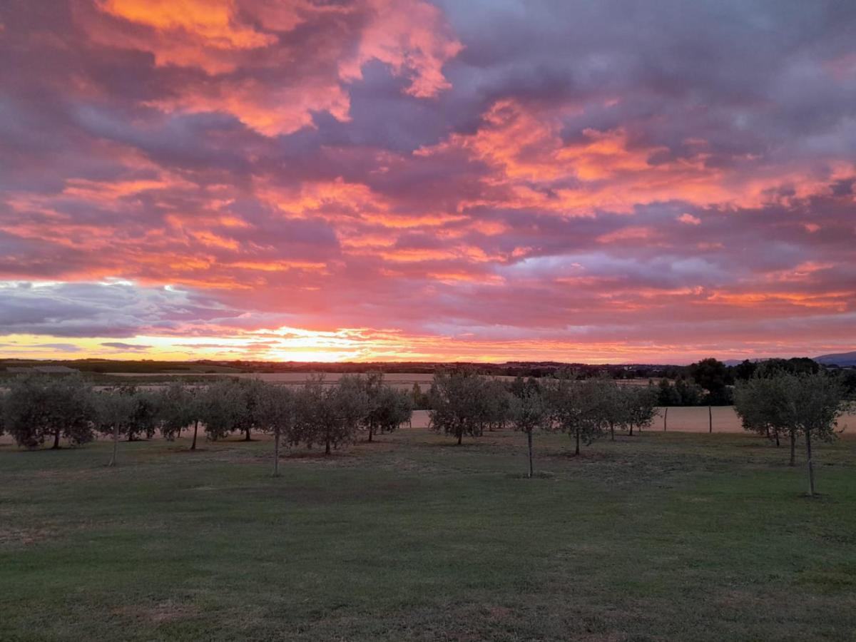 Podere Molinaccio Паникале Экстерьер фото
