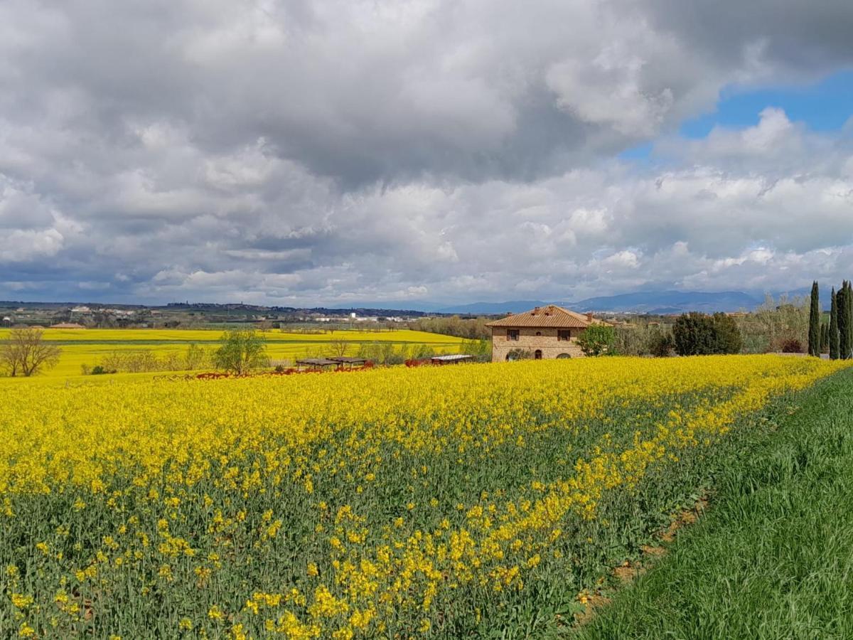 Podere Molinaccio Паникале Экстерьер фото