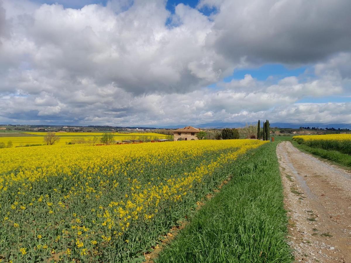 Podere Molinaccio Паникале Экстерьер фото