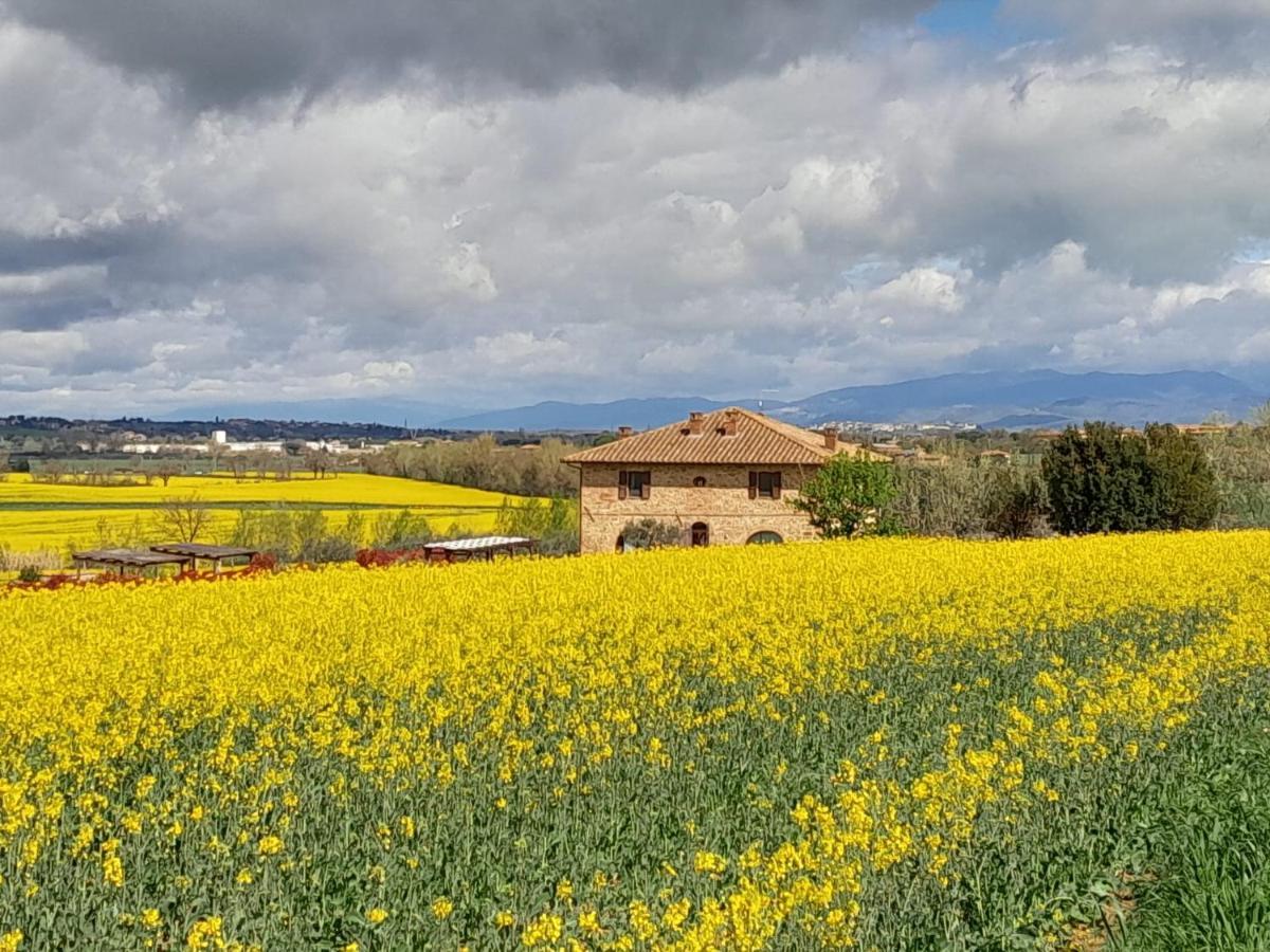 Podere Molinaccio Паникале Экстерьер фото