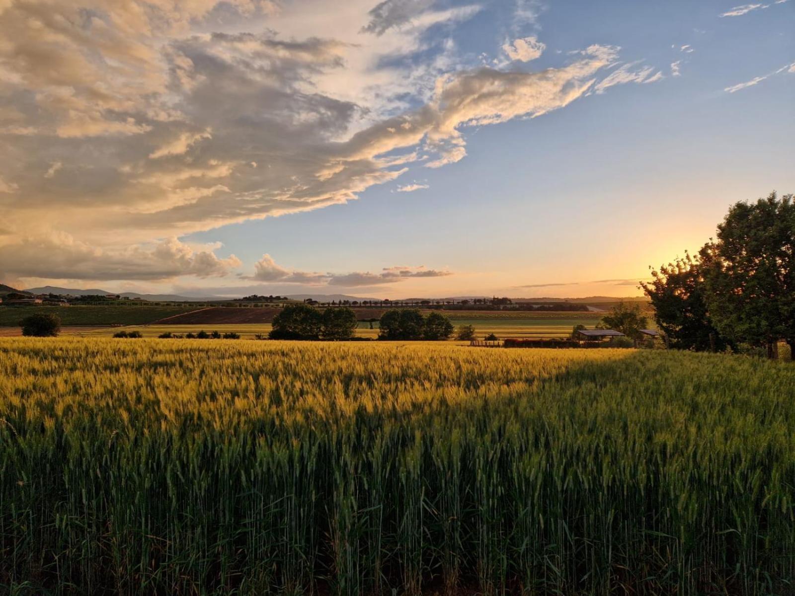 Podere Molinaccio Паникале Номер фото