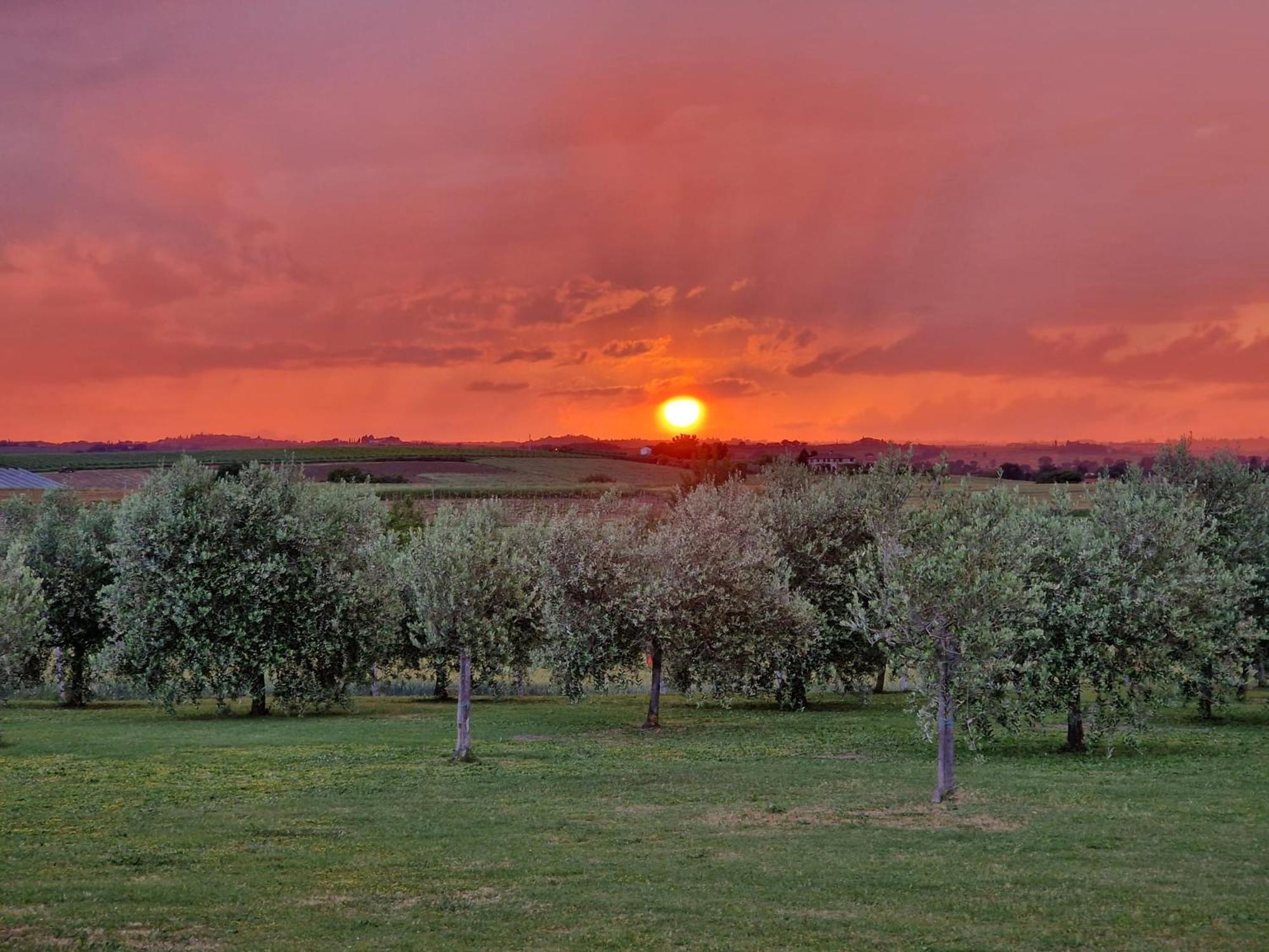 Podere Molinaccio Паникале Экстерьер фото
