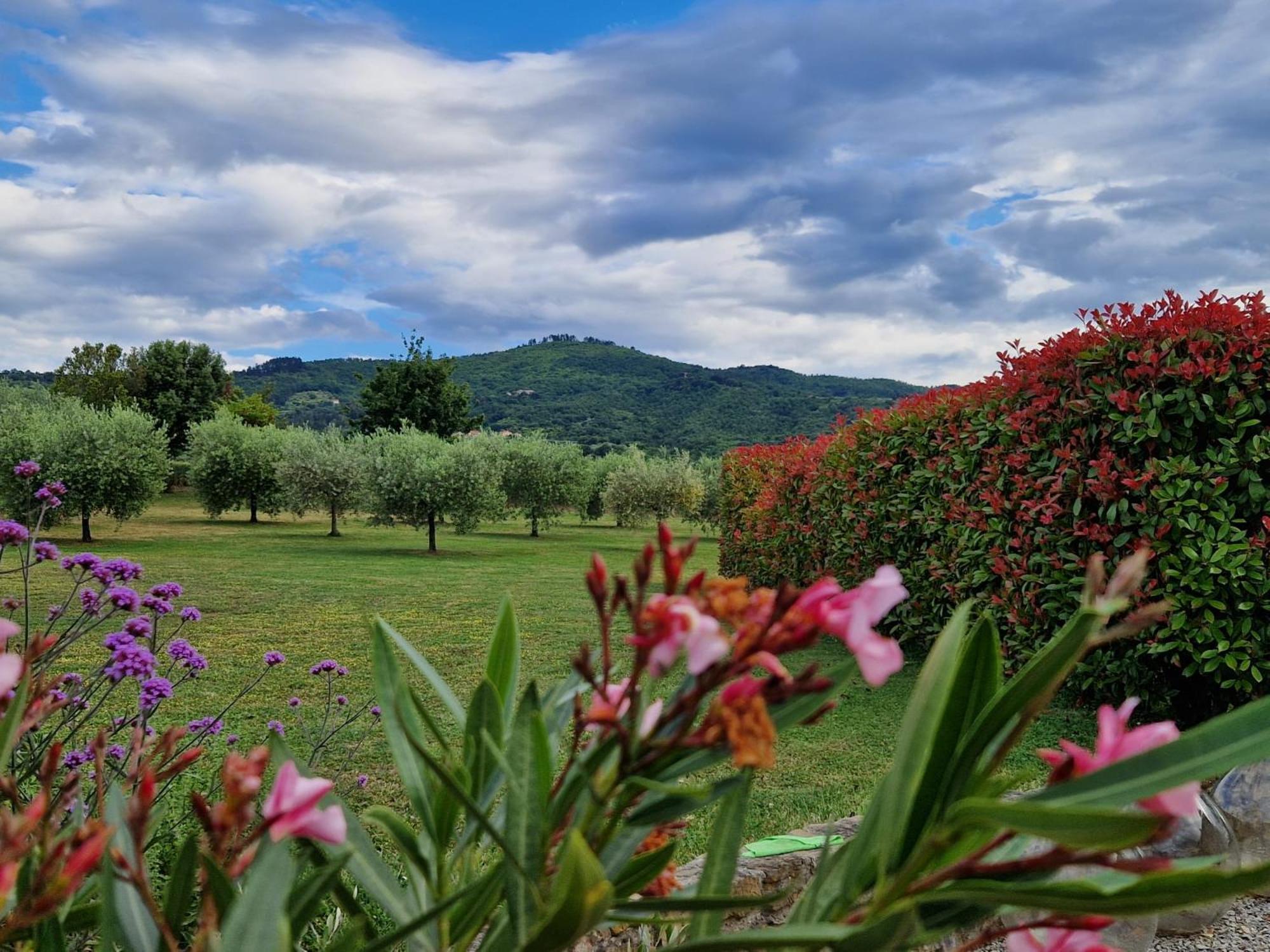 Podere Molinaccio Паникале Экстерьер фото