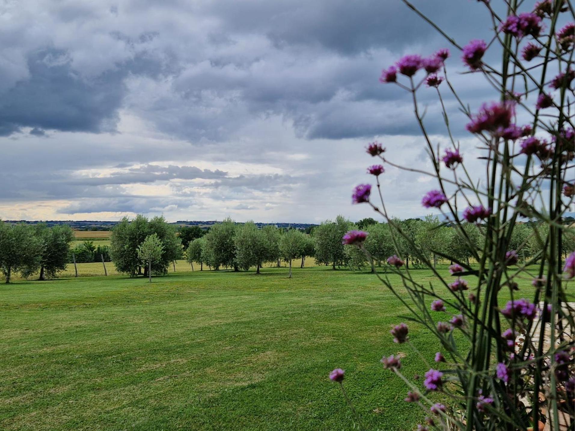 Podere Molinaccio Паникале Экстерьер фото